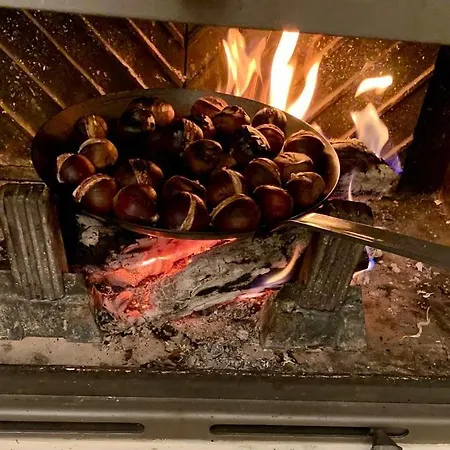 Bed & Breakfast Bianca Tramonti