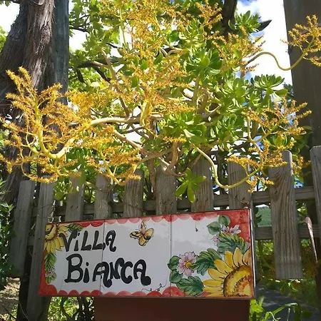 Bed and breakfast Bianca