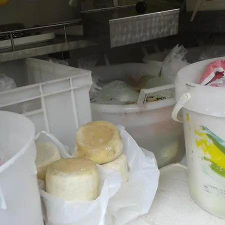 Bianca Bed & Breakfast Tramonti