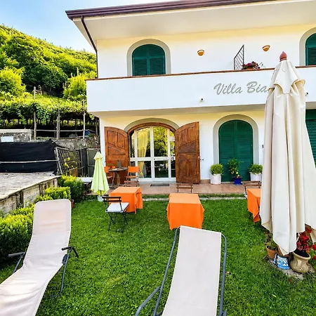 Bianca 3*