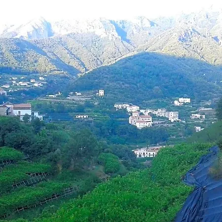 Oda ve Kahvaltı Bianca